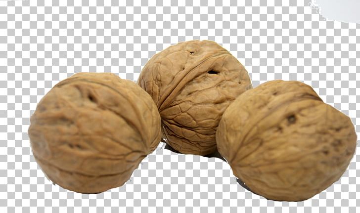 English Walnut Eating Nutrition PNG, Clipart, Cartoon Mountains, Diet, Dietary Fiber, Dried, Dried Fruit Free PNG Download