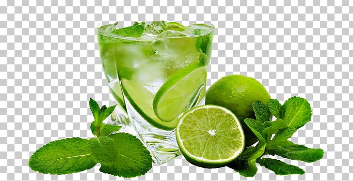 Mojito Cocktail Carbonated Water Lemon Lime PNG, Clipart, Alcoholic Drink, Carbonated Water, Citrus, Cocktail, Food Free PNG Download