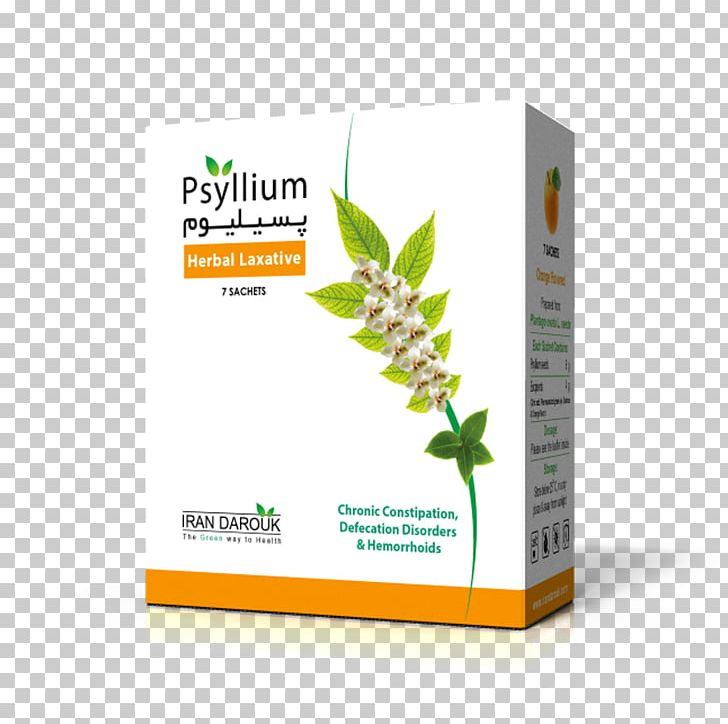 Sand Plantain Psyllium Constipation Laxative PNG, Clipart, Brand, Constipation, Drug, Food Drinks, Herb Free PNG Download