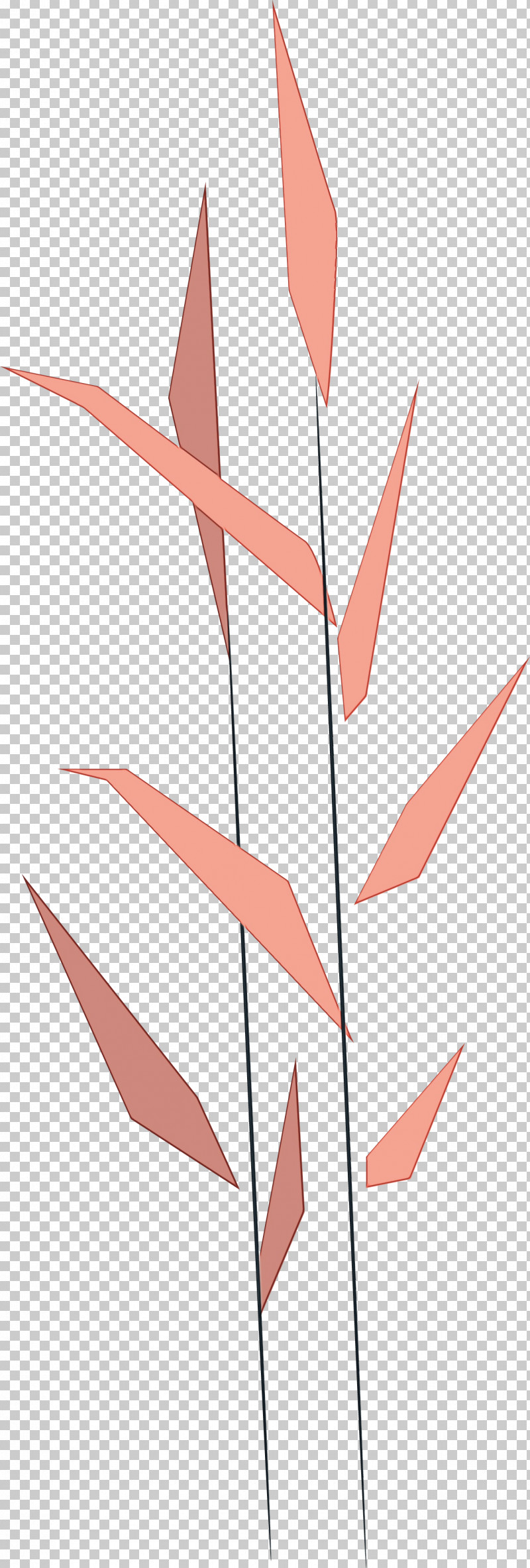 Leaf Angle Line Point Pattern PNG, Clipart, Angle, Biology, Leaf, Line, Meter Free PNG Download