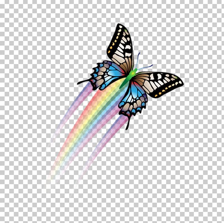 Butterfly Papillon Dog Software PNG, Clipart, Arc, Colo, Color, Color Pencil, Color Powder Free PNG Download