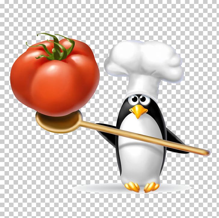 Penguin Chef Animation PNG, Clipart, Animals, Animation, Beak, Bird, Bxe0ner Free PNG Download