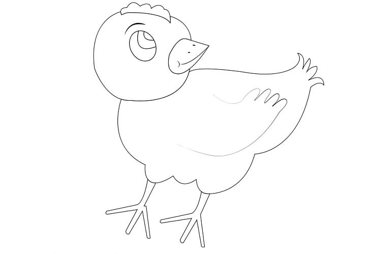 Chicken Bird Drawing PNG, Clipart, Arm, Art, Artwork, Beak, Bird Free PNG Download