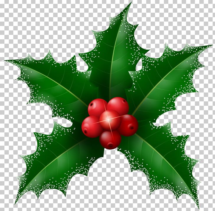 Christmas Desktop PNG, Clipart, Aquifoliaceae, Aquifoliales, Christmas, Christmas Ornament, Common Holly Free PNG Download