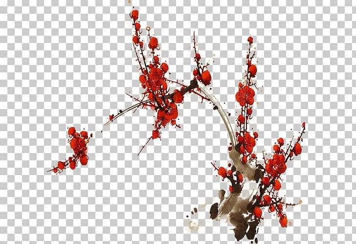 Encapsulated PostScript PNG, Clipart, Aquifoliaceae, Berry, Bloom, Blossom, Branch Free PNG Download