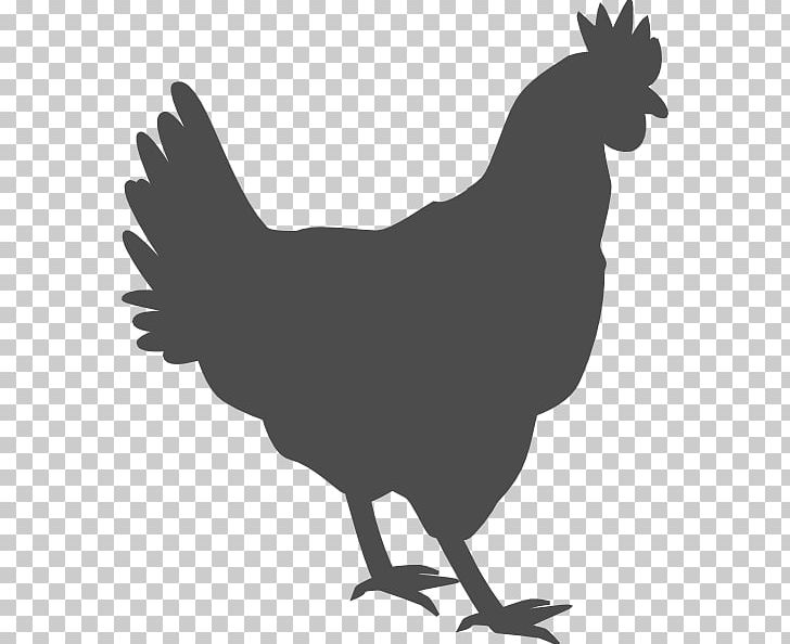 Fried Chicken Chicken Meat Broiler Wrap PNG, Clipart, Animals, Beak, Bird, Black And White, Broiler Free PNG Download