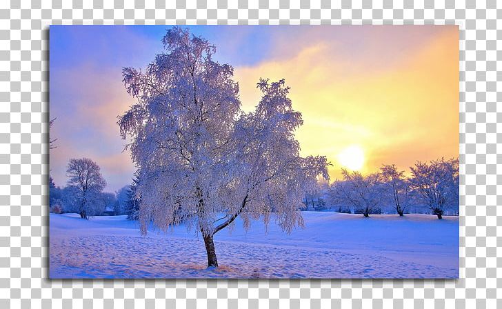 Landscape Winter Desktop Snow Nature PNG, Clipart, Bank, Branch, Cloud, Computer Wallpaper, Dawn Free PNG Download
