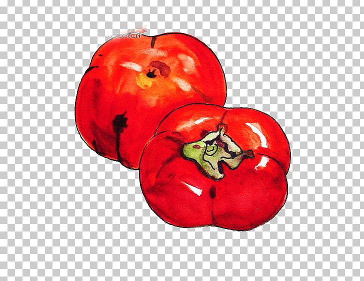 Tomato Persimmon PNG, Clipart, Apple, Cartoon, Download, Food, Fresh Persimmon Free PNG Download