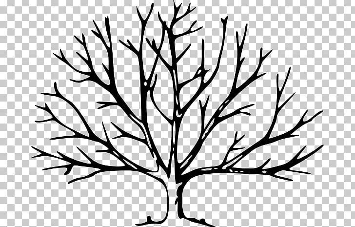 Tree Drawing Silhouette PNG Clipart Artwork Black And White Branch   Imgbin Tree Drawing Silhouette Tree Trunk S Bare Tree Illustration FaX64e3nzrqdp1hjhTsjLNvSy 