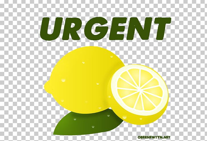 World Toilet Organization ECHN Urgent Care At South Windsor Sanitation PNG, Clipart, Citric Acid, Citrus, Community, Emergency Department, Flowering Plant Free PNG Download