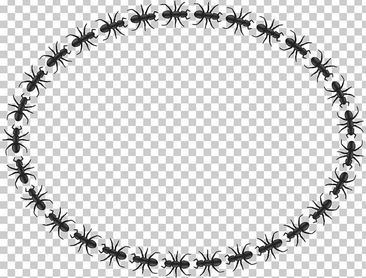Ant Insect Circle PNG, Clipart, Ant, Ant Mill, Black And White, Body Jewelry, Chain Free PNG Download