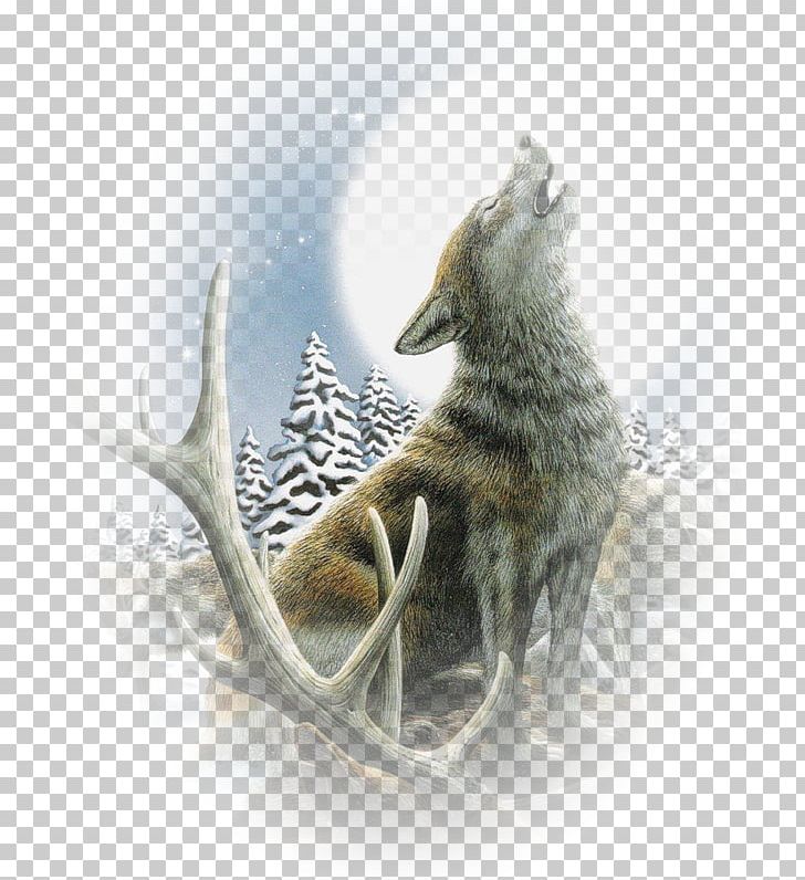 Coyote Gray Wolf Desktop PNG, Clipart, 123, Animaatio, Animal, Animaux, Anime Free PNG Download