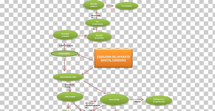 Brand Diagram PNG, Clipart, Art, Brand, Communication, Diagram, Green Free PNG Download