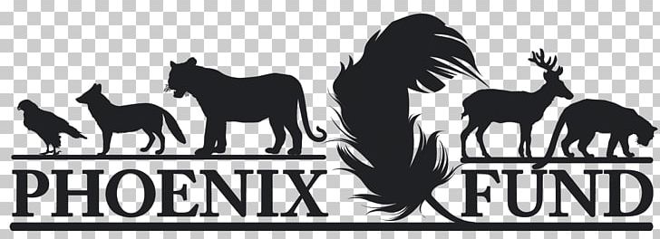 Phoenix Fund Mustang Logo Northeast Asian Leopard Tiger PNG, Clipart, Amur, Animal, Black And White, Brand, Horse Free PNG Download