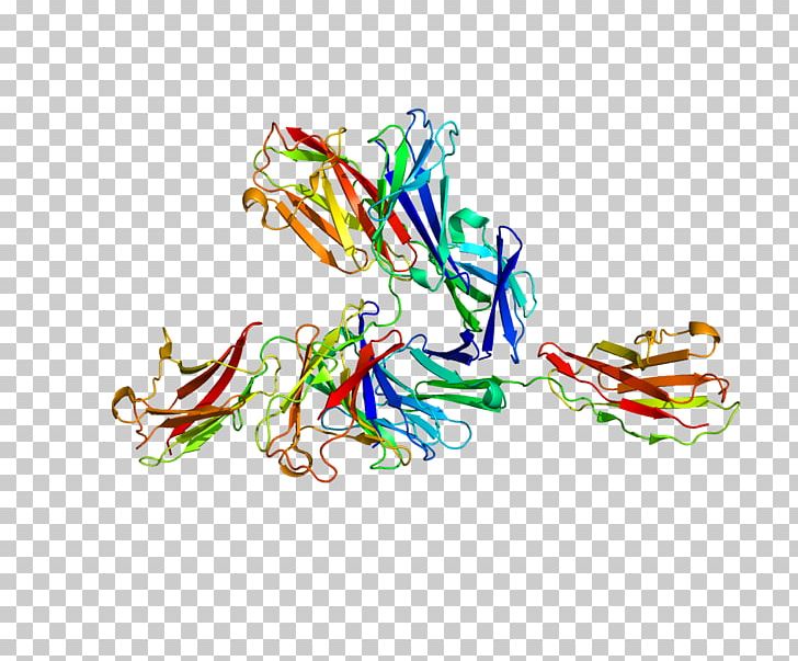 Basigin Protein Cluster Of Differentiation Blood Type Antigen PNG, Clipart, Antigen, Art, Artwork, B 5, Blood Free PNG Download