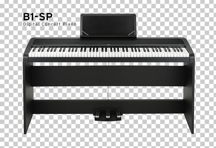 Digital Piano KORG B1SP PNG, Clipart, Action, B 1, Celesta, Digital, Digital Piano Free PNG Download