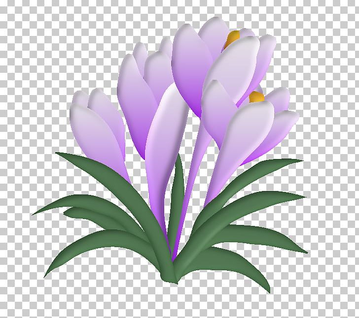 Flowering Plant Drawing Chemical Element PNG, Clipart, Bayan Mod, Chemical Element, Crocus, Drawing, Flora Free PNG Download