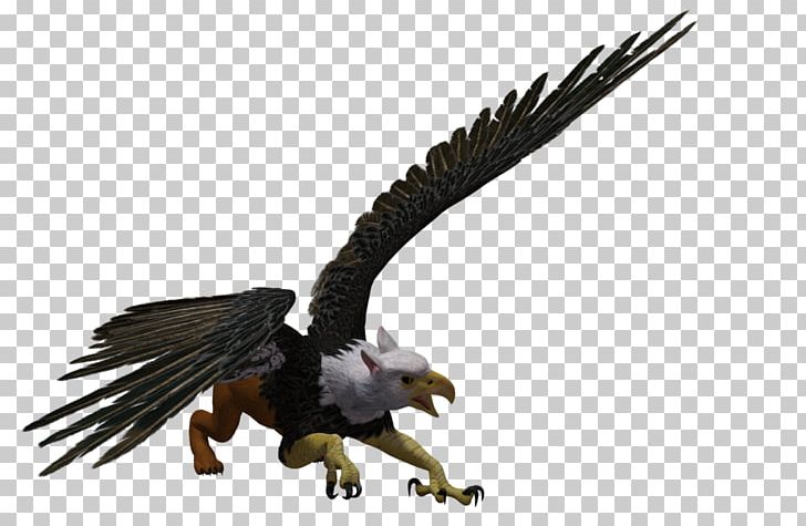 Bald Eagle Griffin Rendering PNG, Clipart, 3d Computer Graphics, 3d Rendering, Accipitriformes, Animal Figure, Art Free PNG Download