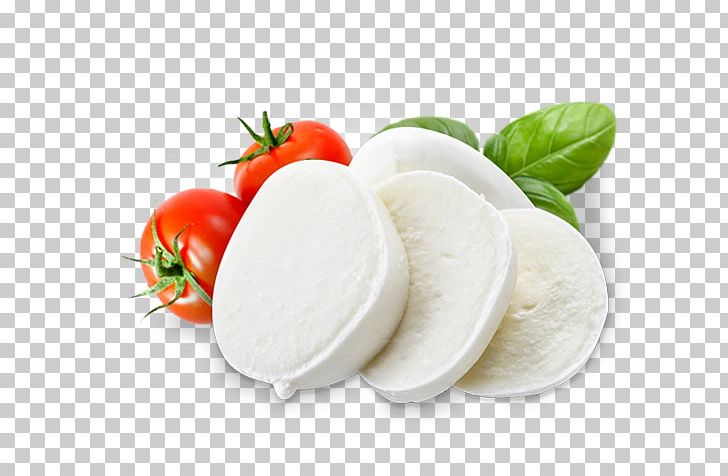 Mozzarella Beyaz Peynir Processed Cheese Diet Food PNG, Clipart, Beyaz Peynir, Cheese, Dairy Product, Diet, Diet Food Free PNG Download