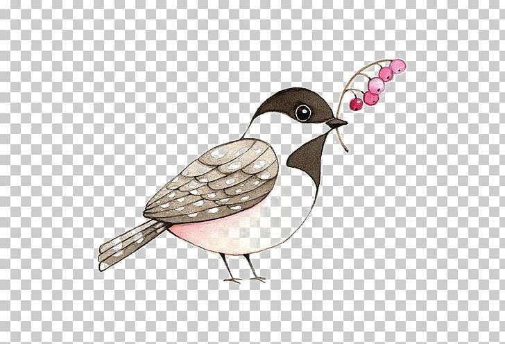 Sparrow PNG, Clipart, Art, Beak, Bird, Birds, Cartoon Free PNG Download