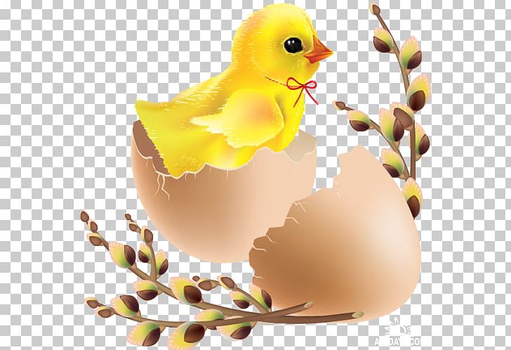 Easter Bunny Chicken Easter Egg PNG, Clipart, Beak, Bird, Chicken, Child, Easter Free PNG Download