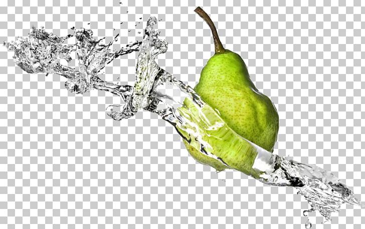 Fruit PNG, Clipart, Abnehmtagebuch, Blender, Branch, Cherie Calbom, Computer Wallpaper Free PNG Download