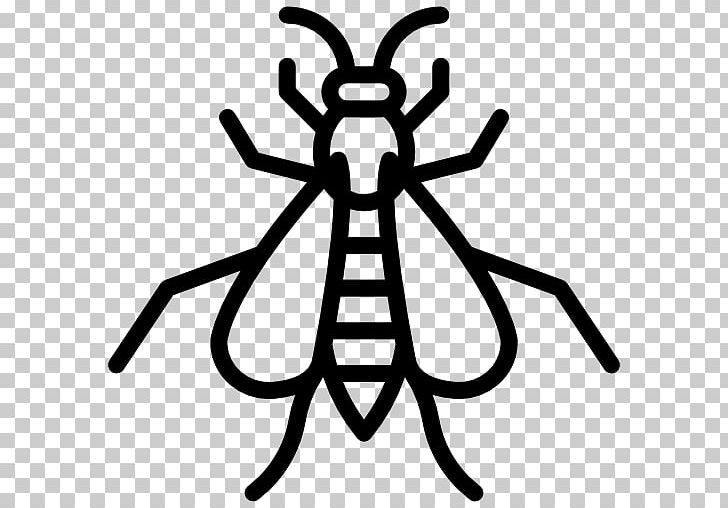Insect Wasp Hornet Pest Control PNG, Clipart, Animals, Artwork, Bed Bug, Black And White, Cockroach Free PNG Download