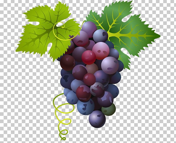 Common Grape Vine PNG, Clipart, Apple Fruit, Divertimento, D Major, Download, Food Free PNG Download