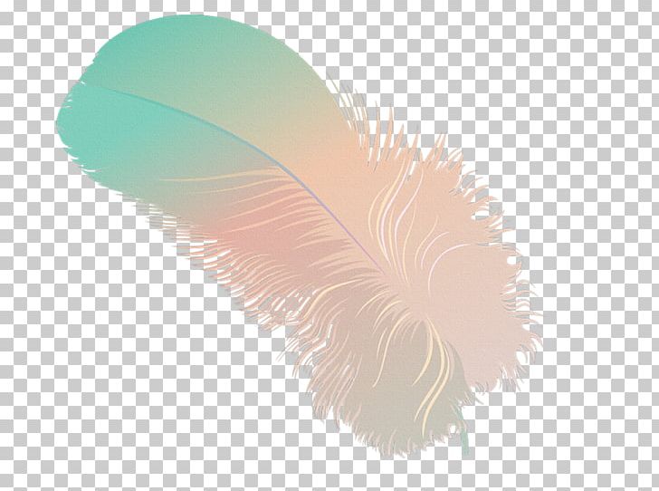 Feather Drawing Blog PNG, Clipart, Animals, Beak, Blog, Color, Computer Wallpaper Free PNG Download