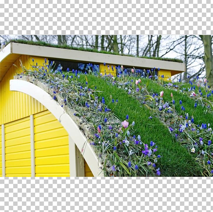 Green Roof Roof Garden Greenhouse PNG, Clipart, Architectural Engineering, Bluebonnet, Building, Dachdeckung, Flora Free PNG Download