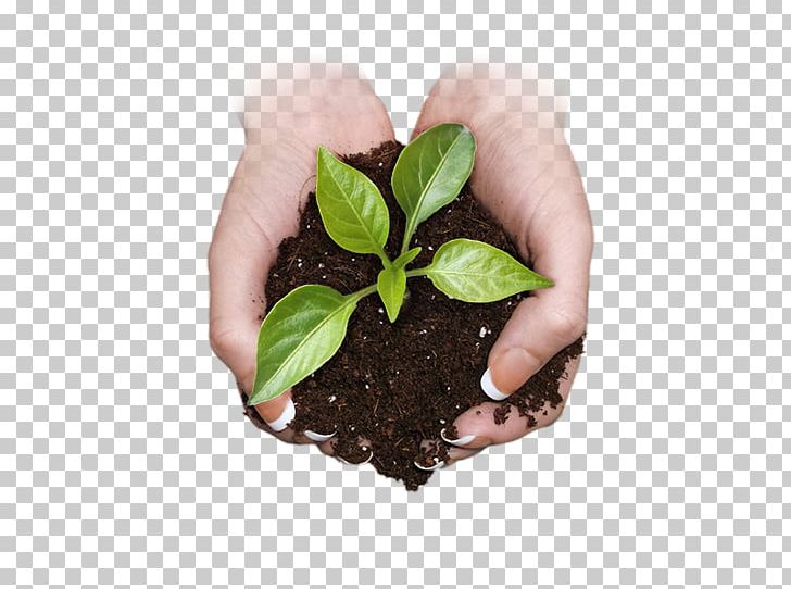 Organic Food Herb Organic Farming PNG, Clipart, Flowerpot, Food, Gardener, Gardening, Grow Shop Free PNG Download