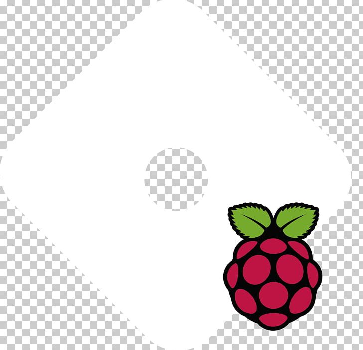 Raspberry Pi Node.js JavaScript Arduino Elektor PNG, Clipart, Arduino, Computer Servers, Computer Software, Debian, Docs Free PNG Download