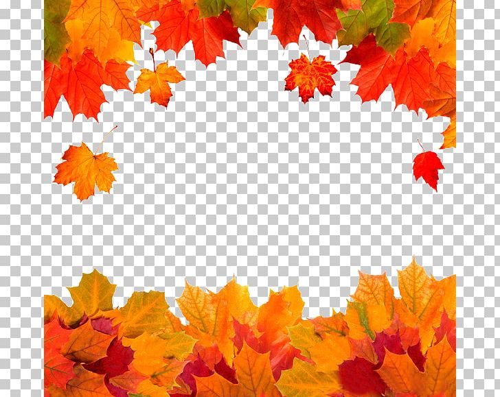 Autumn Leaf Color Red Maple PNG, Clipart, Autumn, Autumn Leaf Color, Computer Wallpaper, Creative Autumn, Decorative Background Free PNG Download