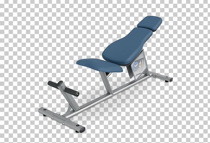 Bench Crunch Weight Training Leg Curl Life Fitness PNG, Clipart, Angle, Bench, Biceps Curl, Crunch, Dumbbell Free PNG Download