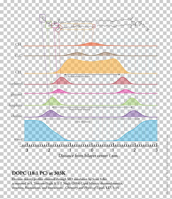 Lipid Long Tail Membrane PNG, Clipart, Angle, Area, Child, Diagram, Elevation Free PNG Download