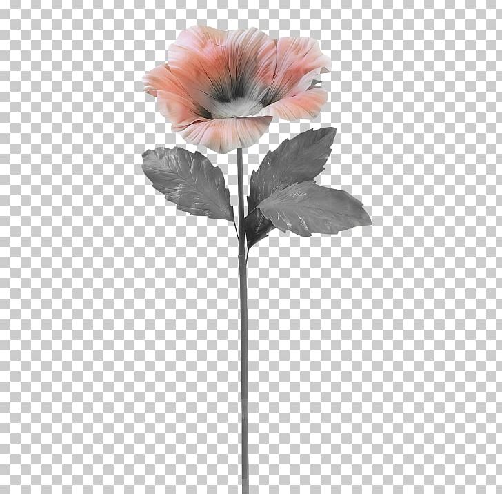 Petal Cut Flowers Lossless Compression PNG, Clipart, Art, Cut Flowers, Data, Data Compression, Download Free PNG Download