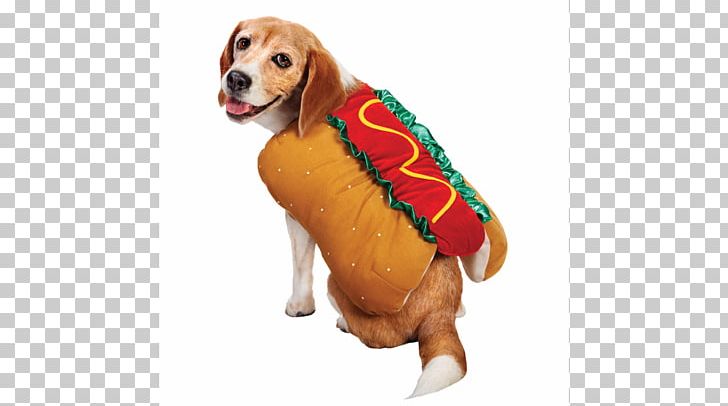 Puppy Dachshund Pet Beagle Hot Dog PNG, Clipart, Animals, Beagle, Carnivoran, Companion Dog, Costume Free PNG Download