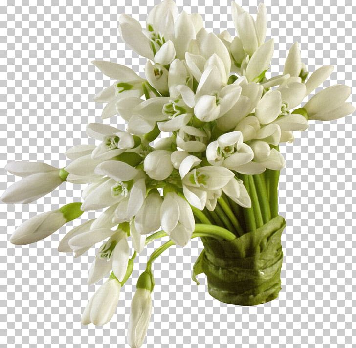 Snowdrop Flower PNG, Clipart, Background White, Black White, Cut Flowers, Display Resolution, Floral Design Free PNG Download