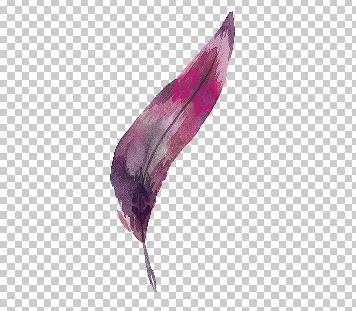 Watercolor Painting Feather PNG, Clipart, Animals, Brown, Cartoon, Clip Art, Color Free PNG Download