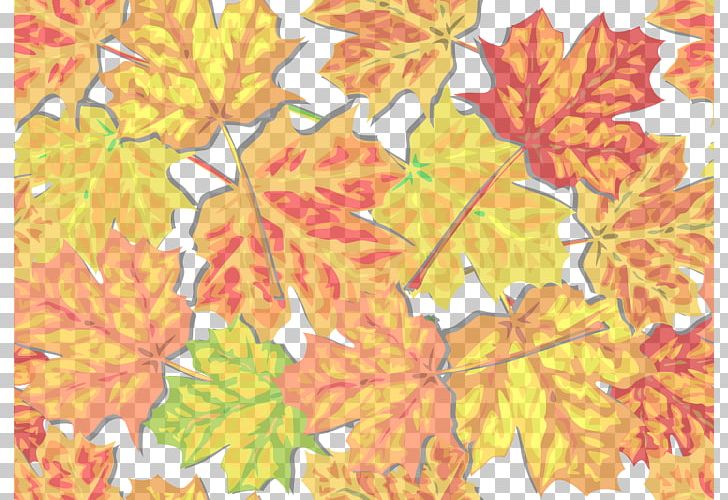 Autumn Leaf Color PNG, Clipart, Autumn, Autumn Leaf Color, Deciduous, Drawing, Flowering Plant Free PNG Download