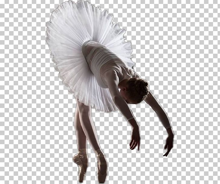 Ballet Dancer Photography PNG, Clipart, Art, Ballet, Ballet Dancer, Ballet Girl, Classical Ballet Free PNG Download