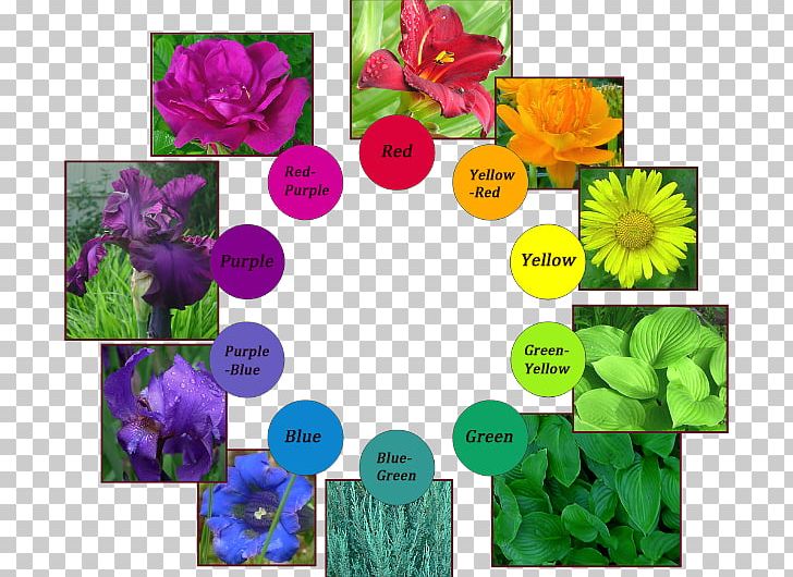 Hue Green Color Violet Floral Design PNG, Clipart, Annual Plant, Blue, Bluegreen, Color, Colorfulness Free PNG Download