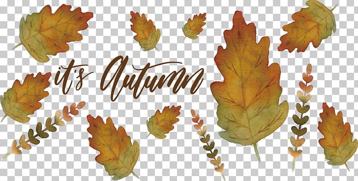 Leaf Watercolor Painting Euclidean PNG, Clipart, Autumn, Autumn Leaves, Deciduous, Deciduous Pattern, Decorative Patterns Free PNG Download