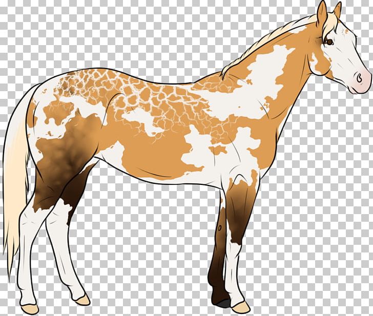 Mule Foal Stallion Mustang Colt PNG, Clipart, Florida Kraze Krush Soccer Club, Foal, Halter, Horse, Horse Harness Free PNG Download