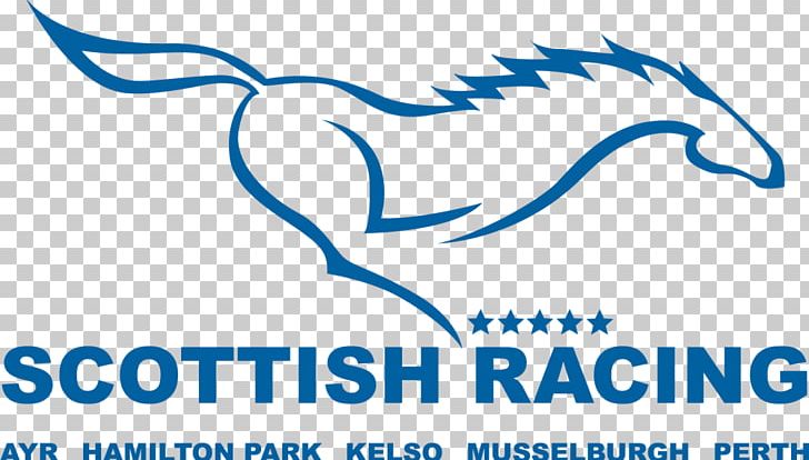 Perth Racecourse Organization Hamilton Park Racecourse Микрозаём 2018 Grand National PNG, Clipart, 2018 Grand National, Area, Black And White, Blue, Brand Free PNG Download