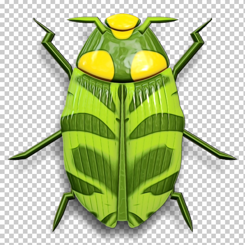 Insect Pest Bug PNG, Clipart, Bug, Insect, Paint, Pest, Watercolor Free PNG Download