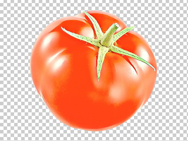 Tomato PNG, Clipart, Bush Tomato, Food, Fruit, Natural Foods, Orange Free PNG Download