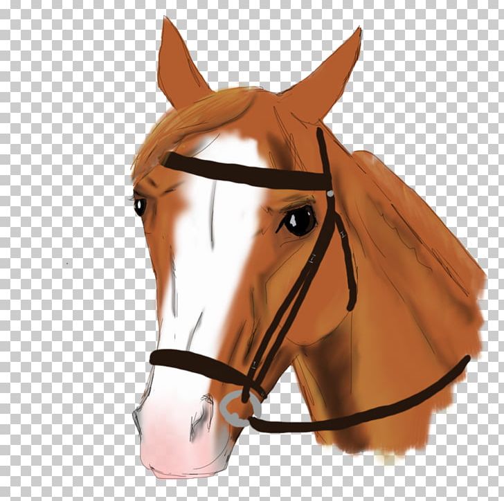 Bridle Mustang Stallion Halter Horse Harnesses PNG, Clipart, Bridle, Halter, Horse, Horse Care, Horse Harness Free PNG Download