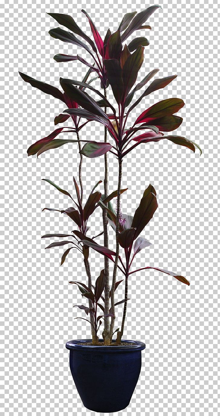 Flowerpot Houseplant Tree PNG, Clipart, Arecaceae, Bed, Bedroom, Branch, Cajonera Free PNG Download