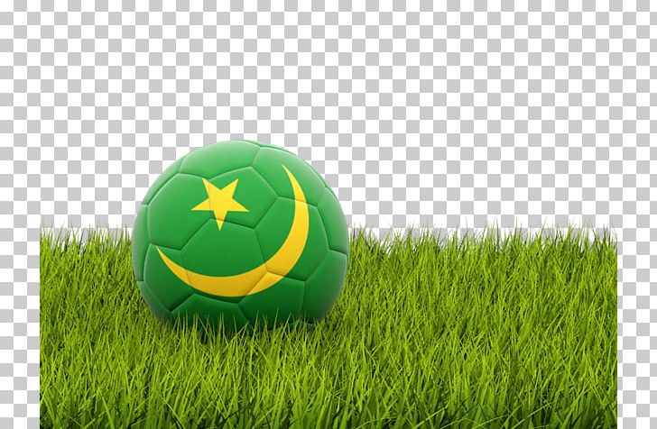 Portugal National Football Team 2018 World Cup Brazil National Football Team Football Player PNG, Clipart, Artificial Turf, Ball, Computer Wallpaper, Football Player, Grass Free PNG Download